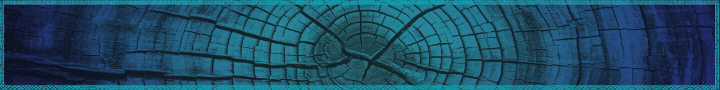 banner novo arraia feira