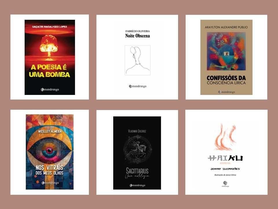 Festa da poesia em Feira de Santana