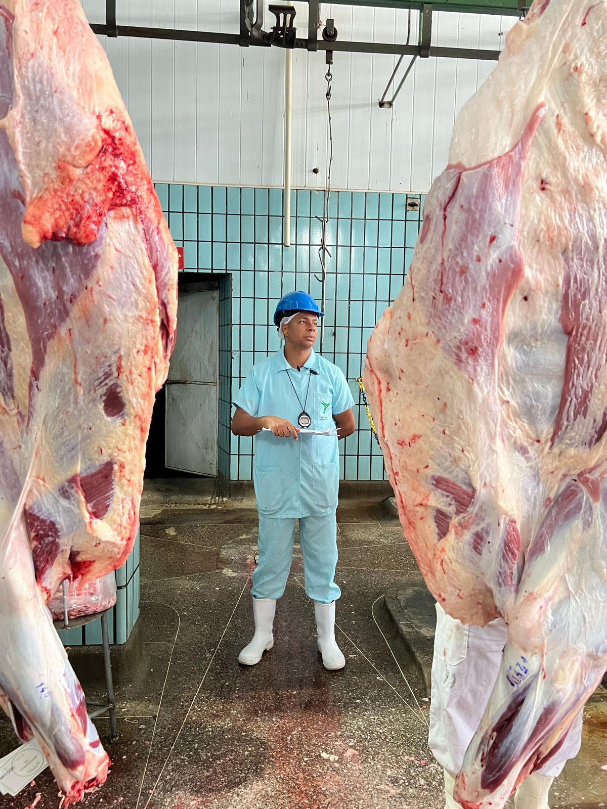 Mesmo na Quaresma, arroba do boi fecha em R$ 330 e mercado segue firme