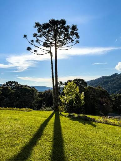 O fim da vida em silêncio