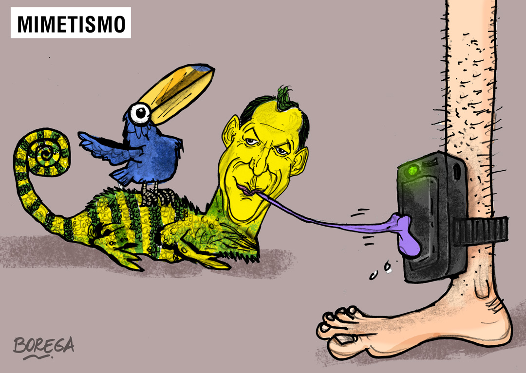 Charge do Borega