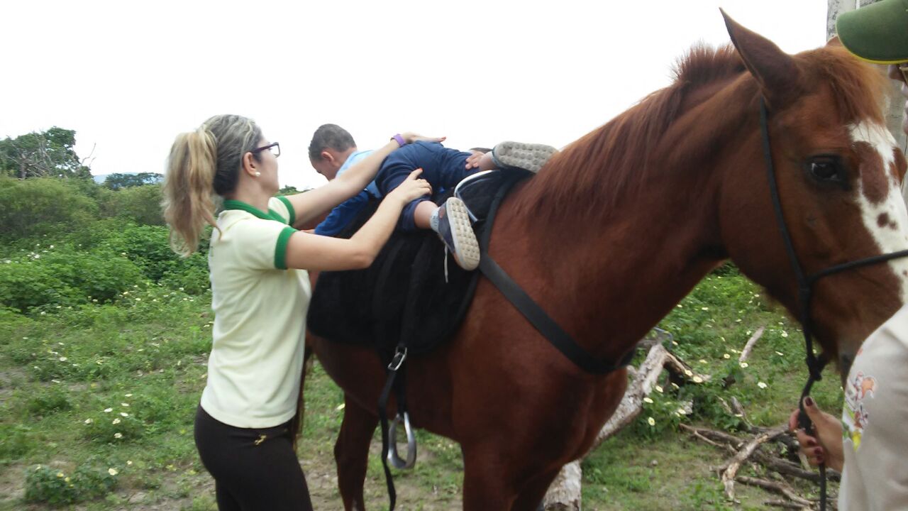 Após tragédia, Polícia Militar retoma terapia com cavalos