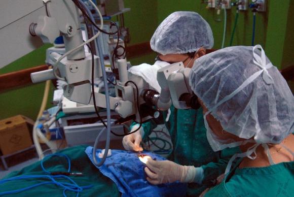 Campanha em redes sociais aumenta cadastro de doadores de medula óssea