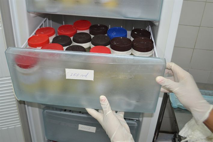 Hospital da Mulher premiado pelo Ministério da Saúde