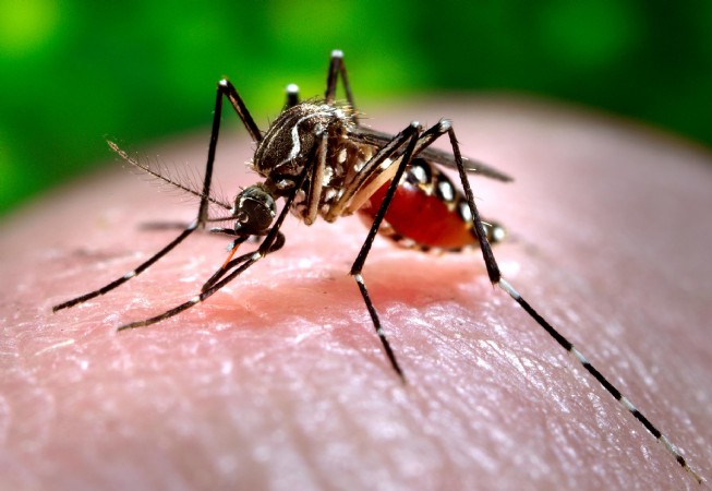 Fiocruz comprova relação entre zika e síndrome de Guillain-Barré