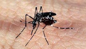 Filipinas são o segundo país a aprovar vacina da dengue