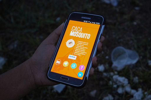 Bahia lança app para mapear focos do mosquito Aedes aegypti