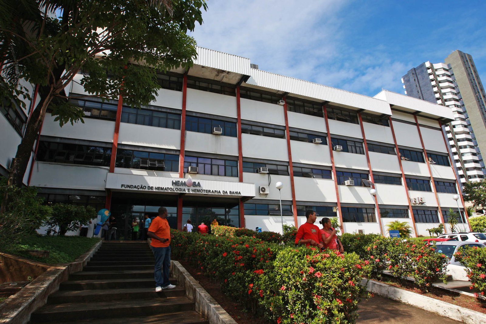 Hemoba tem aumento superior a 30% no cadastro de doadores de medula