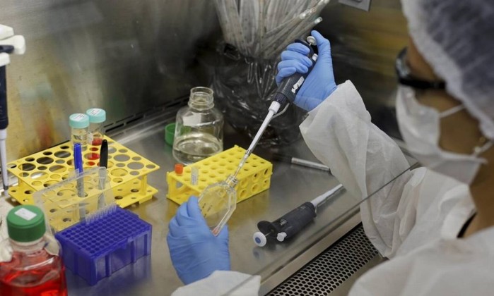 Zika: estudo americano confirma pesquisa brasileira, diz ministério