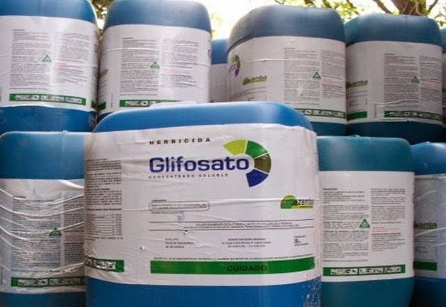 OMS e FAO voltam atrás e dizem que glifosato não provoca câncer