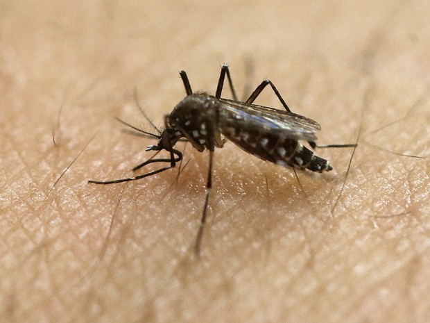 Dois bebês nascem com microcefalia associada à zika na Califórnia