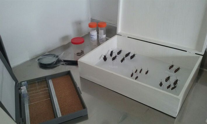 Centro de Zoonoses inaugura laboratório de Entomologia