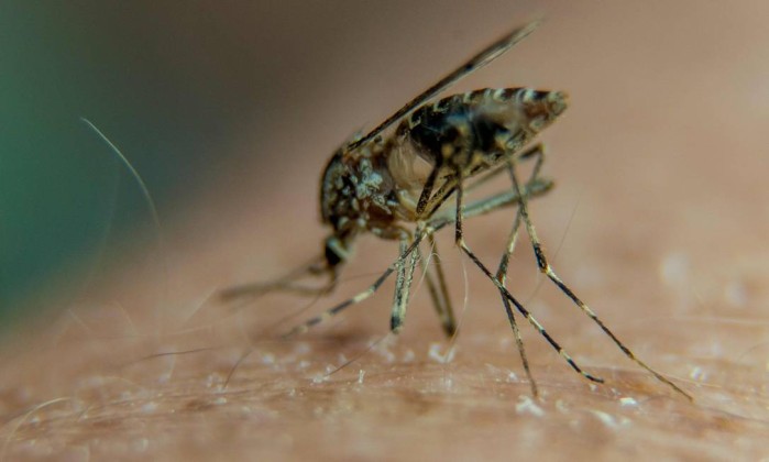 Janot defende aborto quando grávida estiver com zika