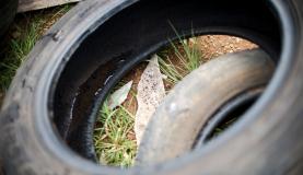 Combate ao Aedes aegypti deve ser redobrado na primavera, alerta Fiocruz