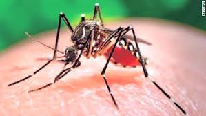 Testes de zika vírus chegarão a postos de saúde no verão
