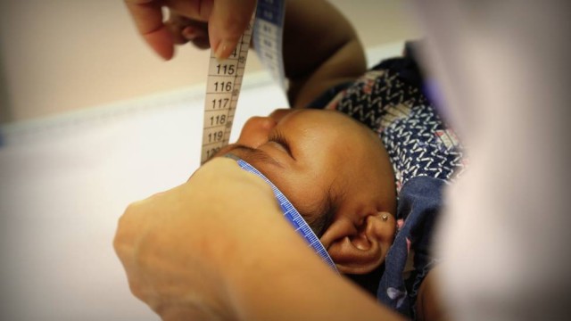 Primeira pesquisadora a relacionar zika com microcefalia alerta para casos que não estão sendo notificados