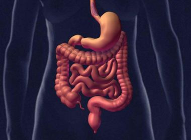 Pesquisa sugere indícios de que Mal de Parkinson pode começar no intestino