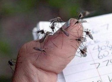 Zika é responsável por gastos de até R$ 14 bilhões pelo governo no Brasil