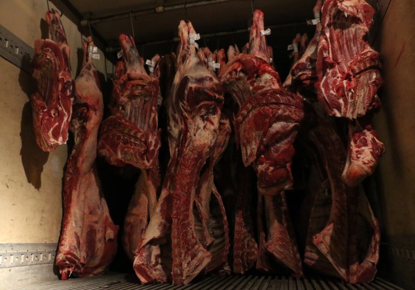 Mais de três toneladas de carne irregular são apreendidas na BR-324