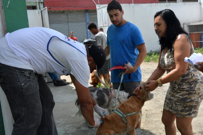 Vacinação antirrábica inicia dia 16 nas unidades de saúde