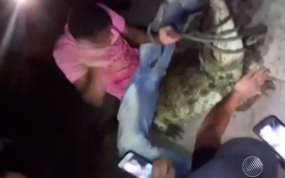 Jacaré sofre agressões durante transporte para Lagoa Grande