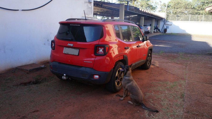 PF encontra mais maconha em carro do filho da desembargadora preso por tráfico ano passado