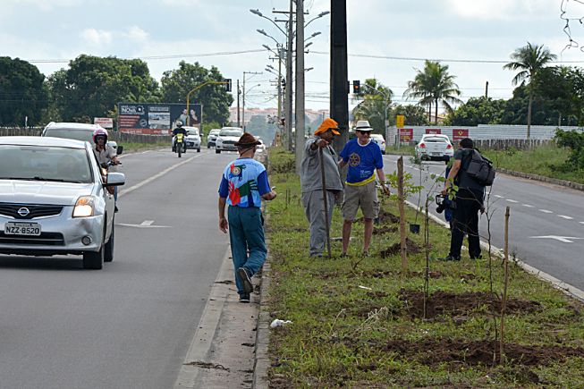 176 árvores são plantadas na avenida Fernando Pinto, no SIM