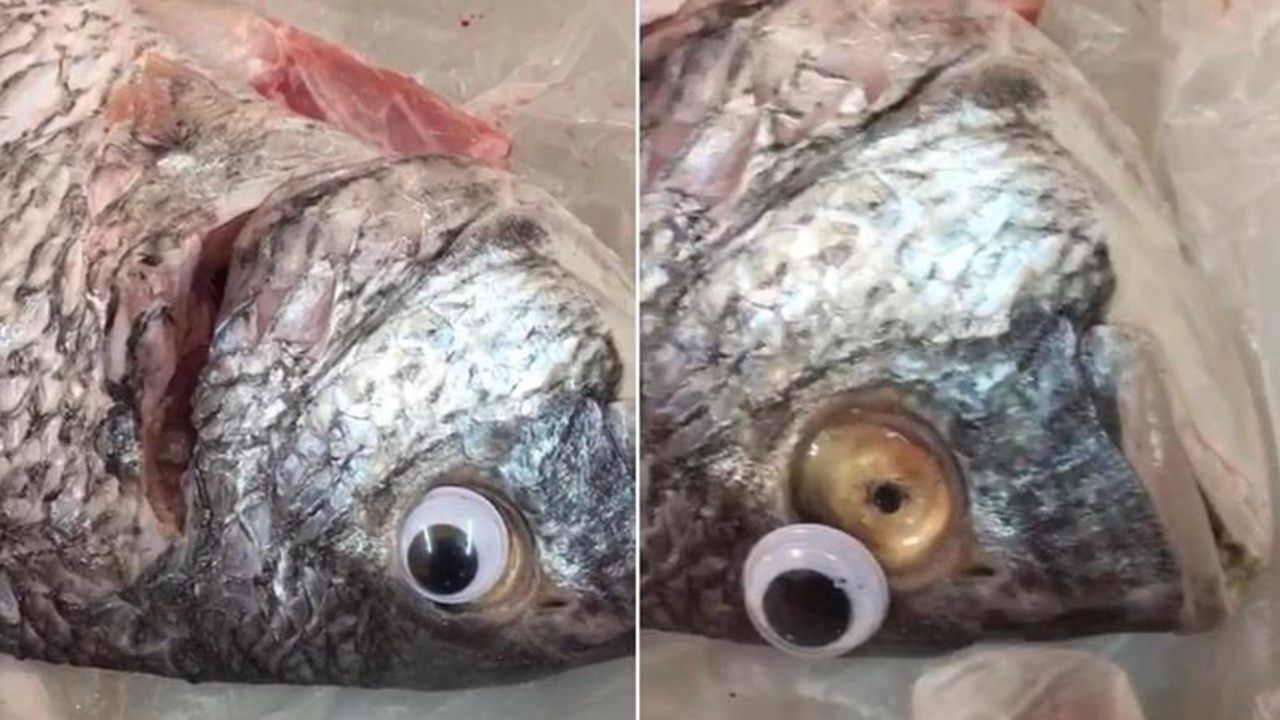 Mercado vendia peixes com olhos de plástico, para enganar consumidor
