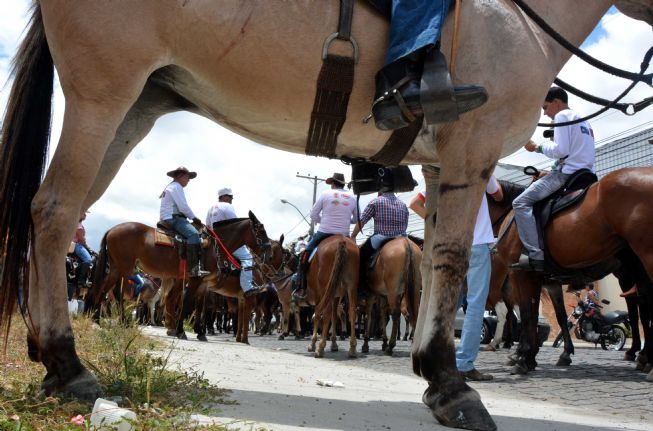 Encontro de Muares: Parque de Exposição vai receber muladeiros de seis estados no dia 23