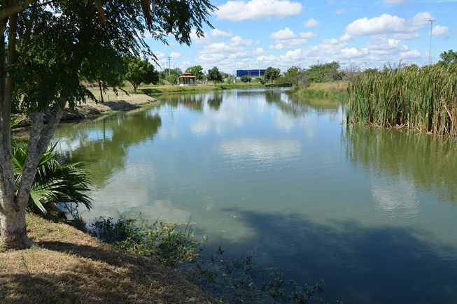 Feira: Semmam vai comemorar o Dia da Água com oficinas e exposição temática