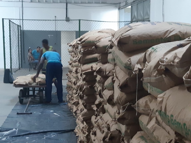 Feira: Sementes começam a chegar e entrega pode ser realizada ainda nesta semana