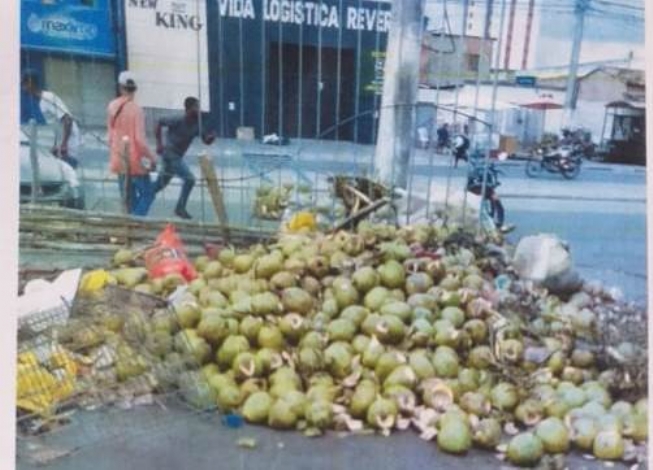 Prefeitura recolhe uma média de 80 toneladas de cocos mensalmente das vias públicas