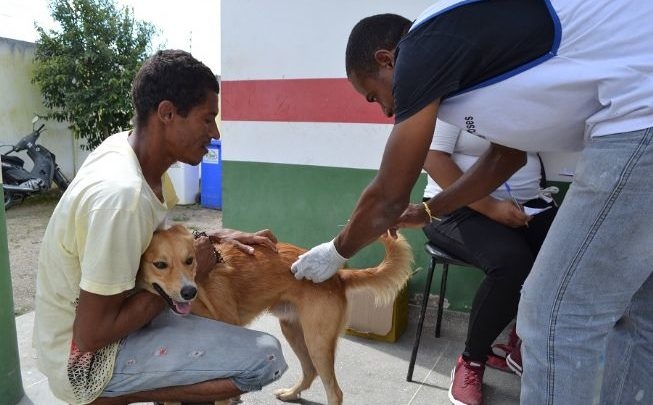 Vacinação de cães e gatos contra a raiva neste sábado