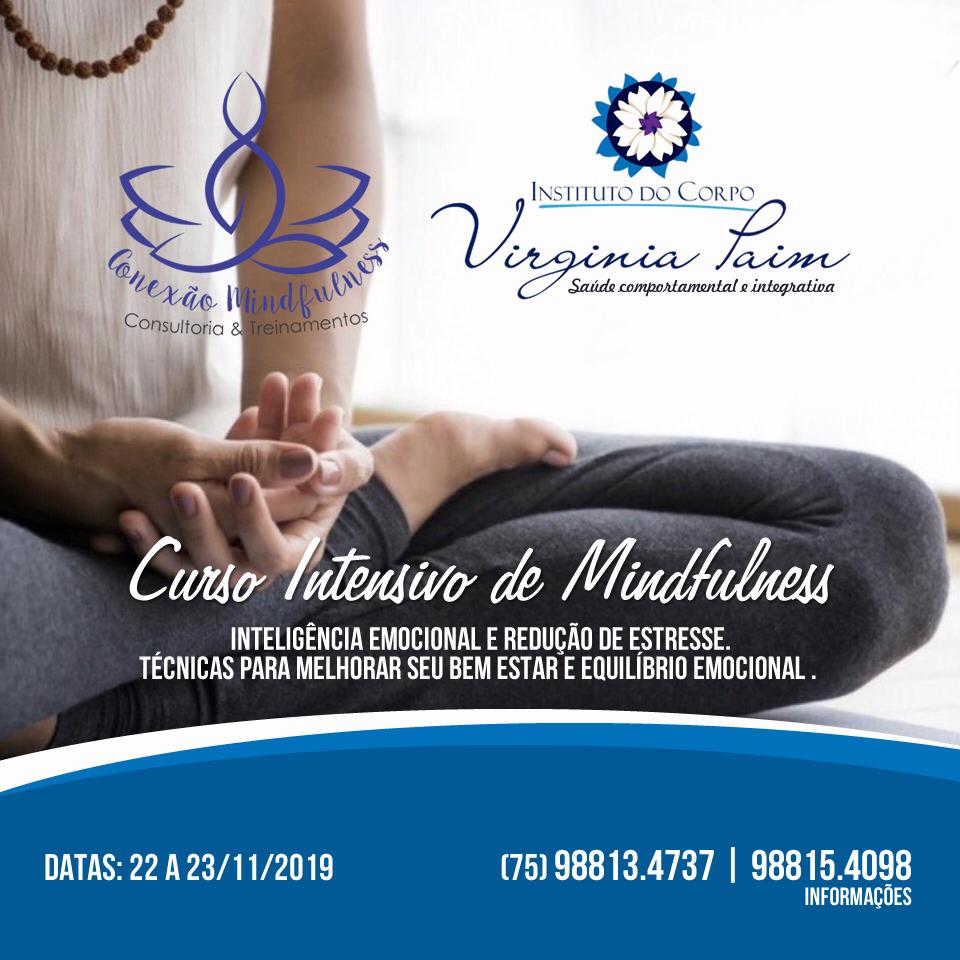 Curso Intensivo de MIndfulness Inteligência Emocional e Redução de Estresse