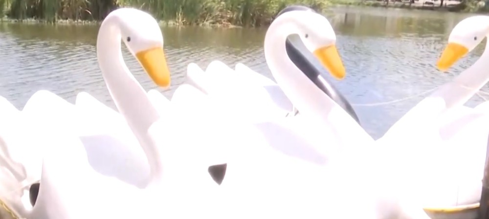 Casal e criança de dois anos sofrem acidente em pedalinho no Parque da Lagoa