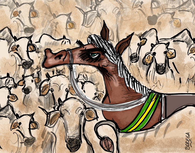 CHARGE DO BOREGA