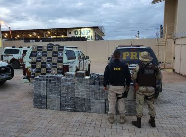 PRF-BA bate recorde em apreensões de drogas