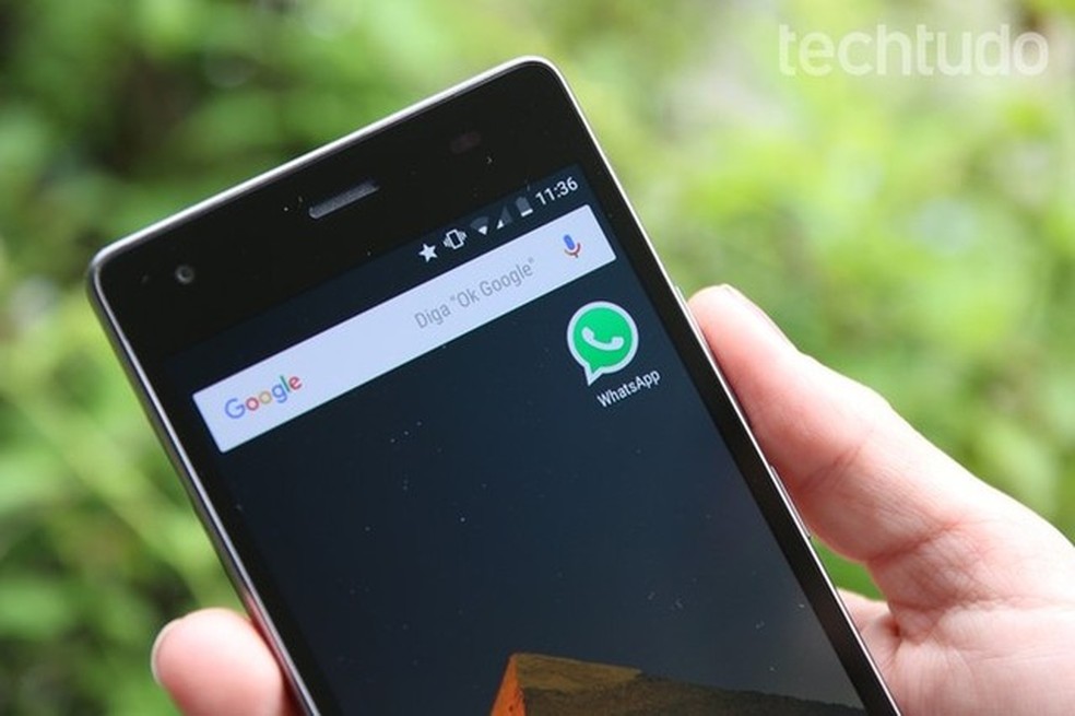 WhatsApp tirou o visto por último? Usuários relatam bug no status online