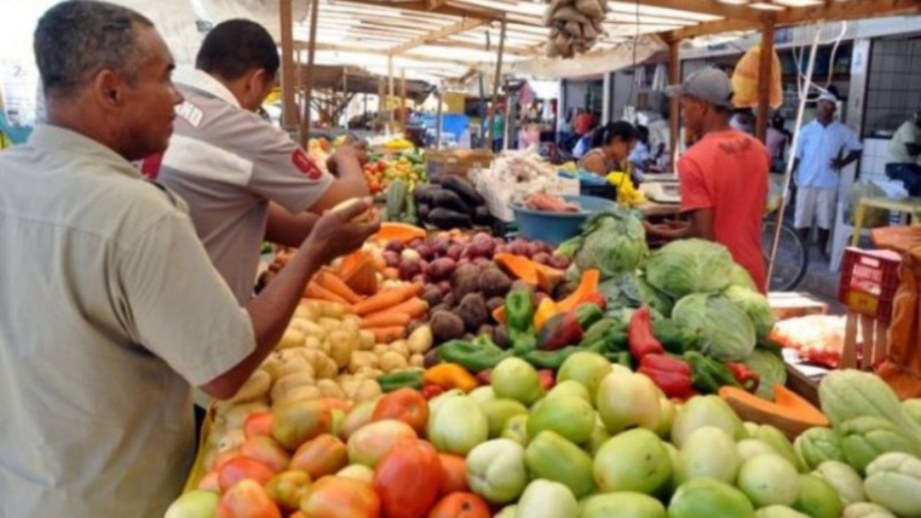 Espaço Verde: nova área para vendedores de hortifruti no Centro de Abastecimento