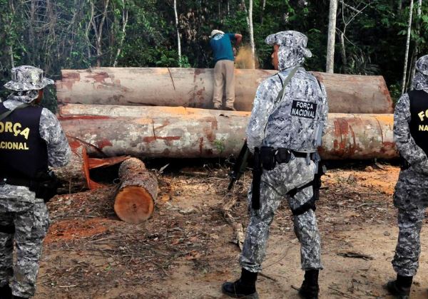 A embaixadores, PF disse que não há relação entre pecuária e desmatamento na Amazônia