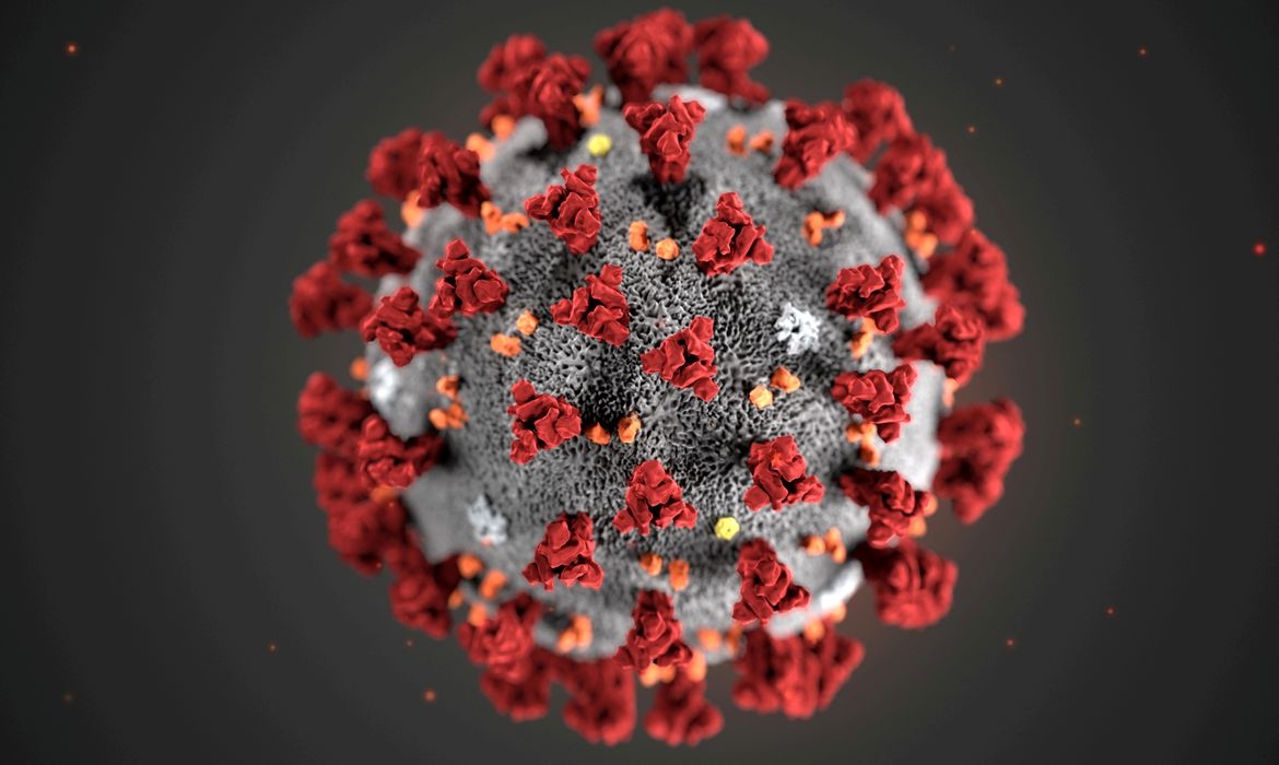 Cientistas criam testes de Covid-19 capazes de diagnosticar a doença em tempo recorde