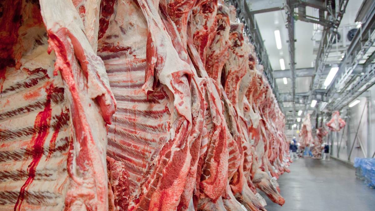 China libera, parcialmente, importação de carne bovina brasileira