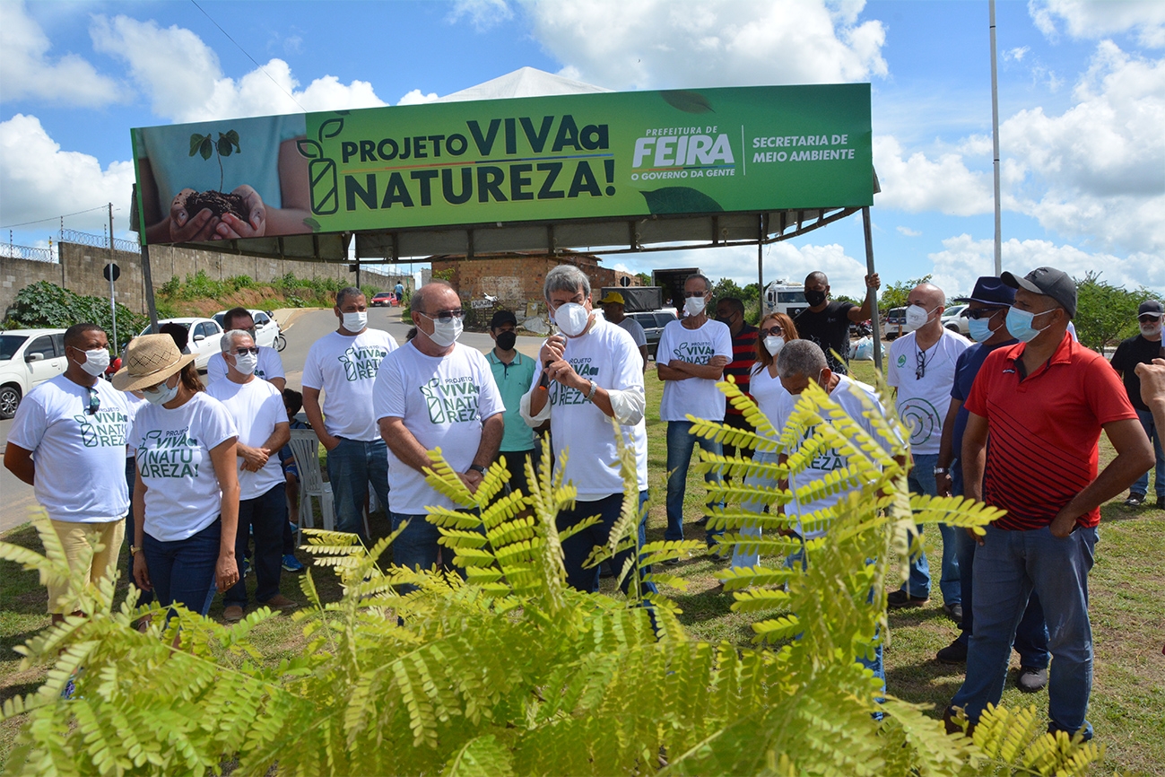 Prefeitura de Feira inicia projeto de arborização, com plantio e doações de mudas