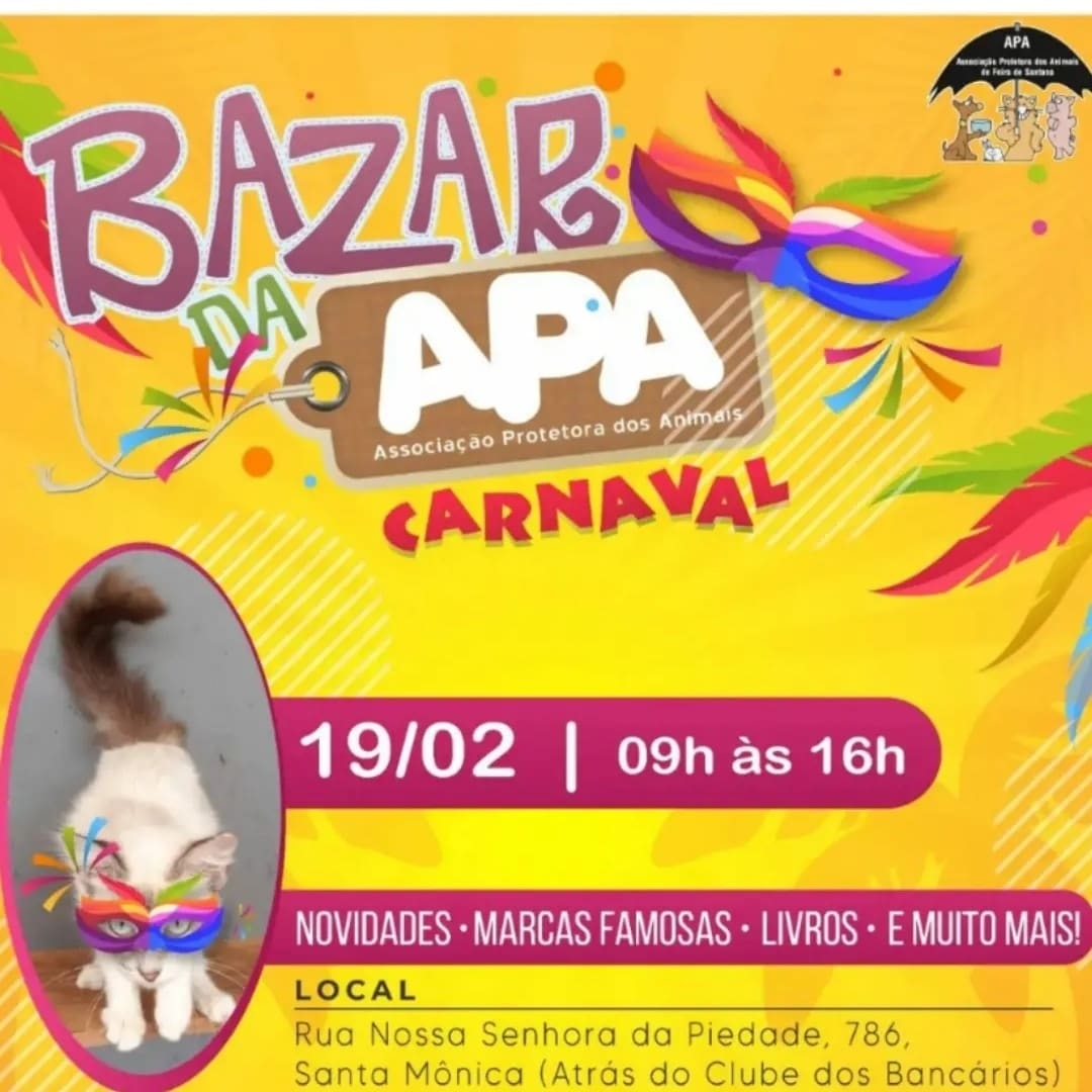 APA realiza bazar solidário, neste sábado (19), em prol de animais abandonados