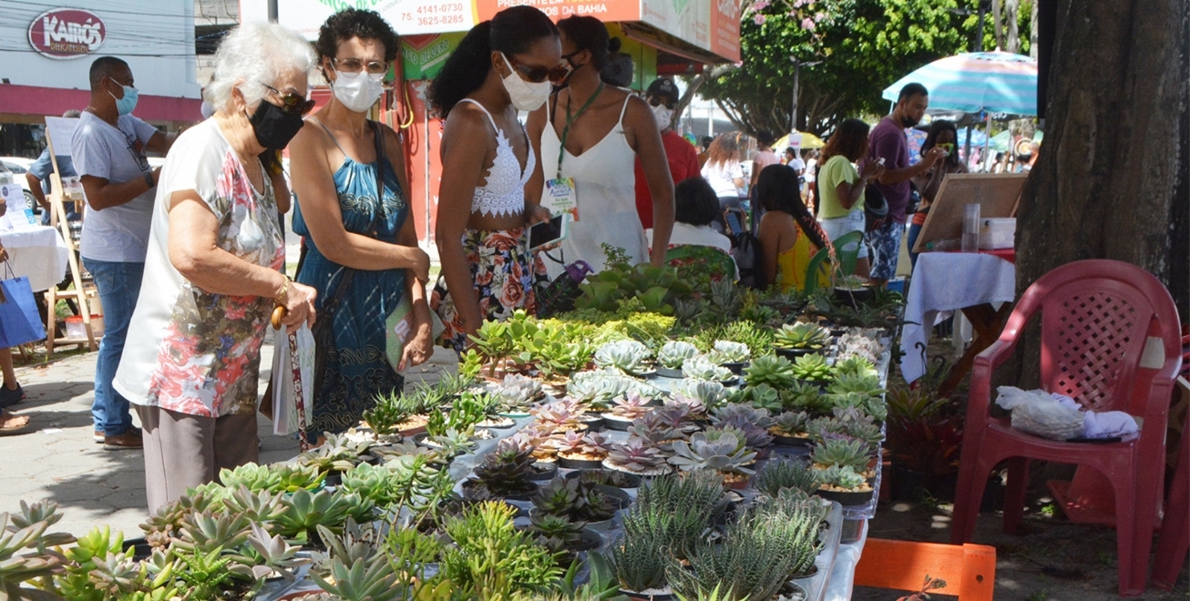 Domingo tem Arte na Avenida, em Feira de Santana