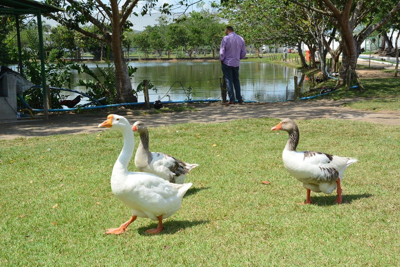 Parque da Lagoa de FSA abrirá normalmente, durante o carnaval