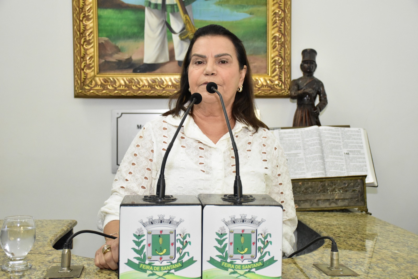Vereadores se solidarizam com Eremita Mota; corregedor da Câmara disse que investigação já começou