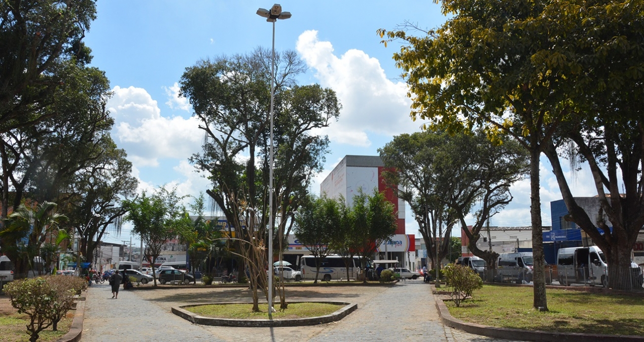 Mais de 400 árvores foram plantadas em Feira de Santana, em 2023