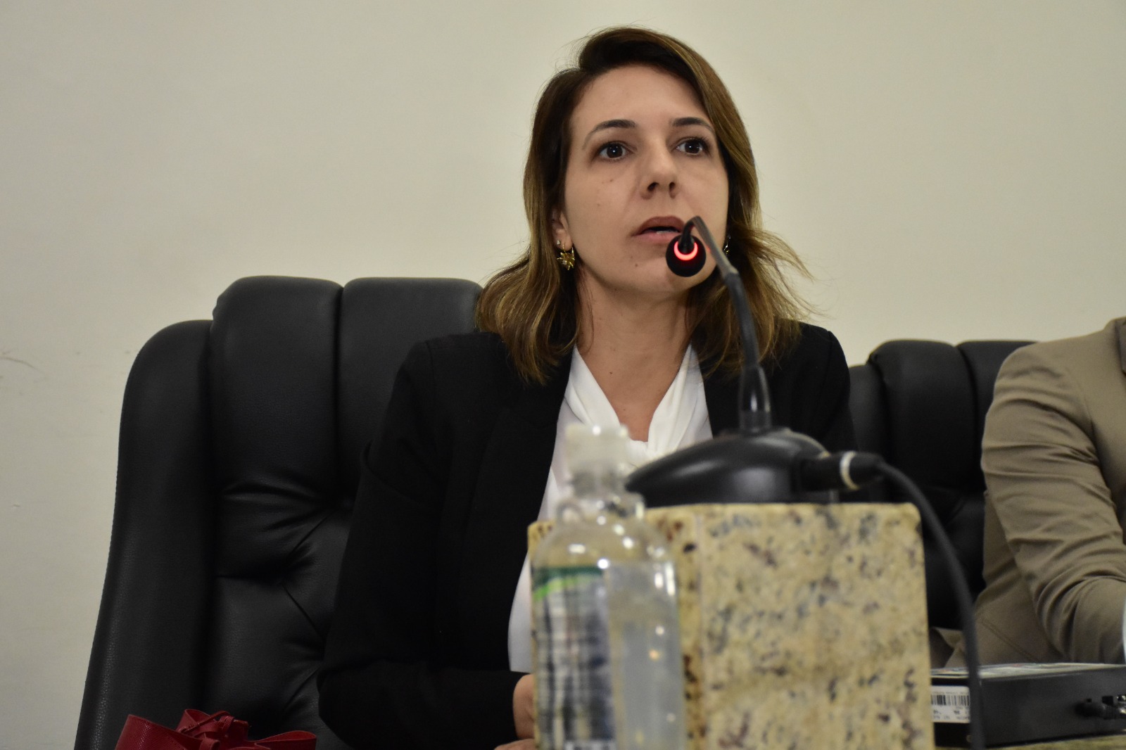 OAB defende, na Câmara de Feira, retirada gradual de carroças das vias públicas