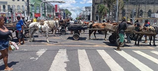 Carroceiros fazem manifestação em frente à prefeitura de Feira